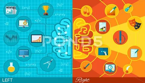 Left And Right Brain Function Stock Illustration