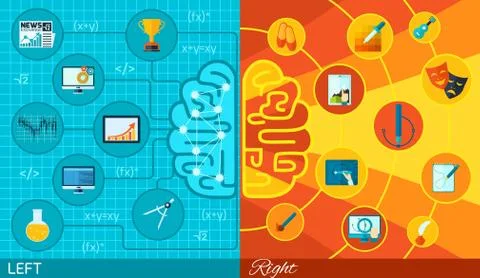 Left And Right Brain Function Stock Illustration