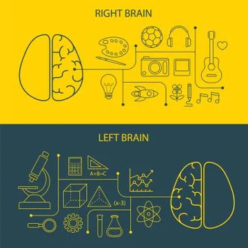 Left and right brain functions concept 스톡 일러스트