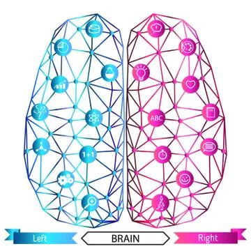 Left and right brain functions concept Stock Illustration