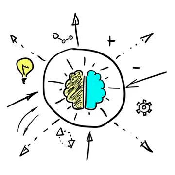 Left and right brain hemispheres Stock Illustration