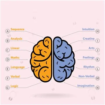 Left and right brain symbol,creativity sign,business symbol,knowledge and edu Stock Illustration