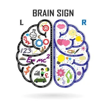 Left and right brain symbol,creativity sign,business symbol,knowledge and edu Stock Illustration