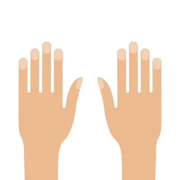 Left and right hand isolated on white Stock Illustration