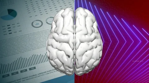 Left and right human brain partition concept. Logic hemisphere and creative h Video stock 127204957