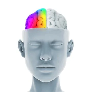 Left and Right Human Brain Illustrazione stock