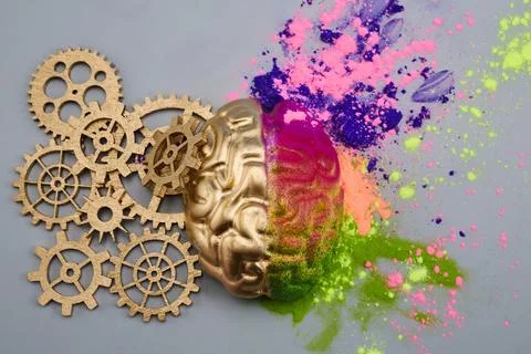 Left and right human brain. The right creative hemisphere and the left logi.. Foto stock