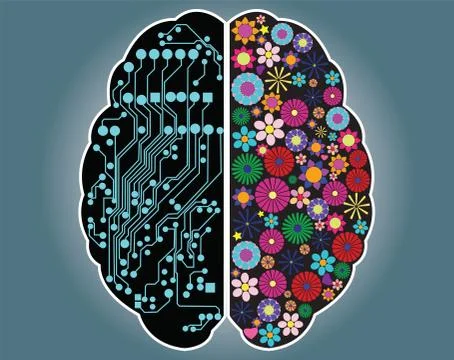 Left and right side of the brain, logic and creativity, vector Stock Illustration