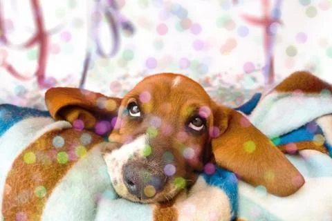 Left behing on Carnival Stock Photos