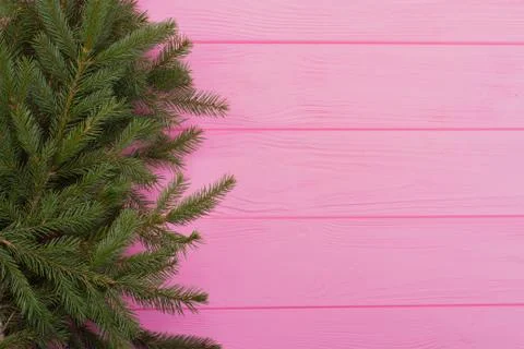 Left border of fresh spruce branches. Stock Photos