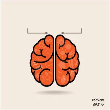 Left brain and right brain symbol,creativity sign,business symbol,knowledge a Stock Illustration
