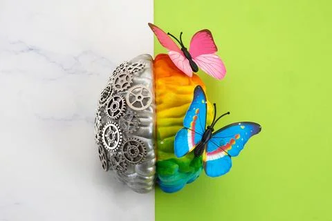 Left brain logic right brain creativity concept Stock Photos