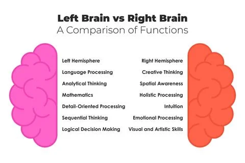Left Brain vs Right Brain Comparison Chart for Logical and Creative Cogniti.. Stock Illustration