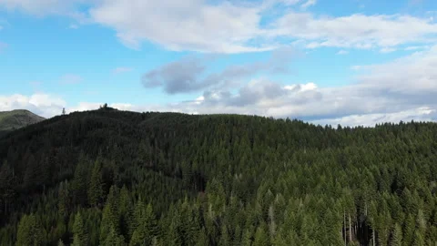 Left Curving Drone Shot of Forest on Hills Vídeos de archivo 329185508