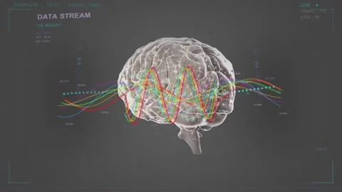 Left data stream starting sending color traces crossing 3D brain, nodes pulsing Stock Footage 334418651
