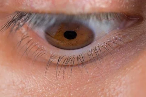 Left eye looking down Foto stock