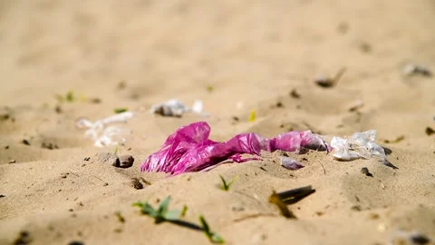 Left garbage on the river bank Stock Footage 254339135