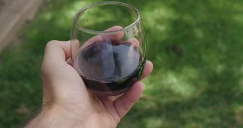 Left hand holding a stemless wine glass outside Stock Footage 310387496
