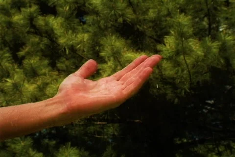 Left Hand in Light Rain Stock Footage 377515