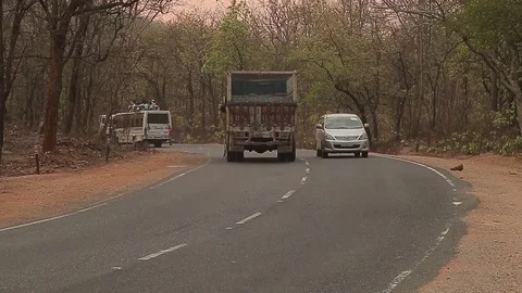 Left-hand traffic in jungles India. Cars Stock-Footage 80609255