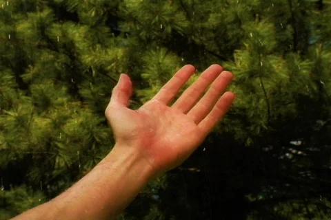 Left Hand Upwards in Rain Stock Footage 377517