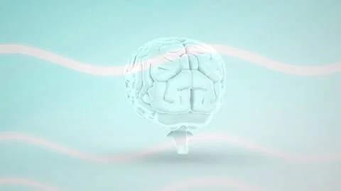 Left hemisphere view triggers stylized 3D brain rotating clockwise and hovering Stock Footage 311900693