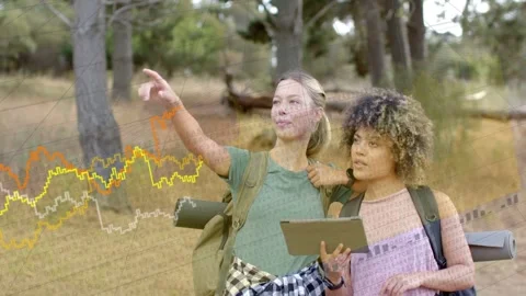 Left hiker pointing while right hiker holding tablet and tapping, generating Video stock 333774530