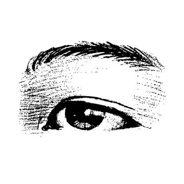 Left human eye hand drawn 스톡 일러스트