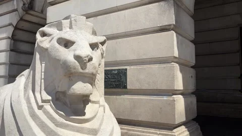Left Lion Statue at Nottingham Council House Old Market Square England Stock Footage 336846406