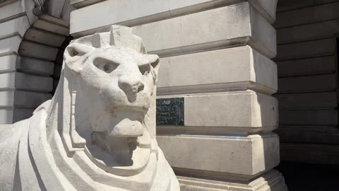 Left Lion Statue at Nottingham Council House Old Market Square England Video stock 336846410