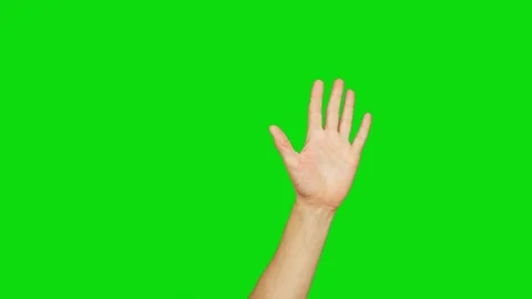 Left palm hand raised for attracts attention on chroma key background. Alpha Stock Footage 86860164