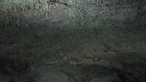 Left pan across stalactites on the ceiling of Postojna Cave in Croatia Stock Footage 324694846