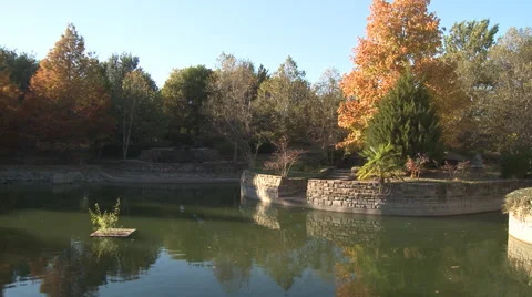 Left pan over autumn trees along an embanked stream Stock Footage 59334669