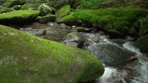 Left panning mountain stream Stock Footage 112146893