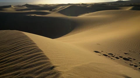 A left panning shot of dunes in the warm light of sunrise. Video stock 155744776