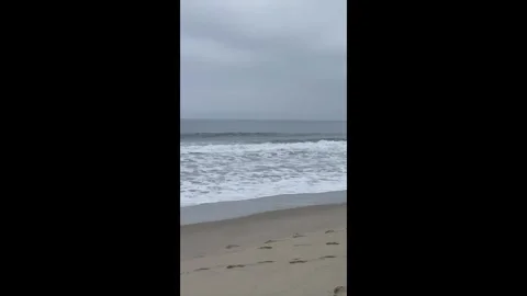 Left panning vertical video view of Venice Beach, Los Angeles, California,   Stock Footage 280132653