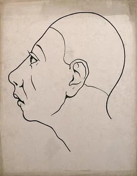 Left profile of a head showing depressed frontal lobes. Drawing, c. 1900. Stock Illustration