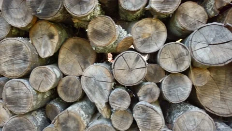 Left to right motion of dried out cracking firewood stacked and piled up Vídeos de archivo 132607219