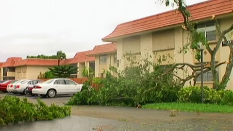 Left to Right Pan to Condo with Downed Trees after Hurricane Wilma Stock Footage 291000333