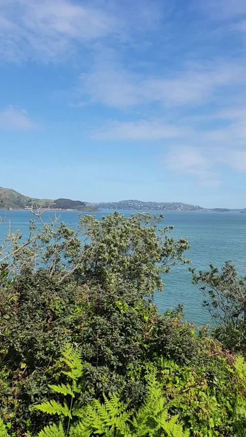 Left to Right Pan of Golden Gate Bridge and San Francisco Bay on Sunny Day Stock Footage 340276722