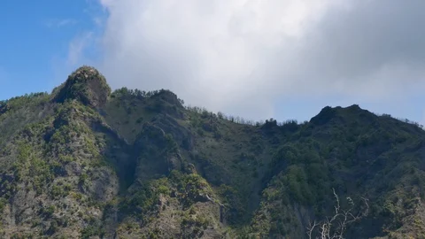 Left to right pan over mountains with evergreen trees and a blue sky with clouds Stock Footage 113260380