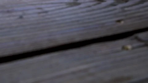 Left to right pan of stained deck near grass backyard.  closeup to wide Stock Footage 108895367