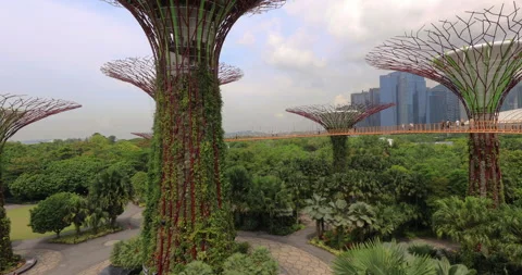 Left to Right panning motion of The Gardens by the Bay, Singapore Stock Footage 275623716