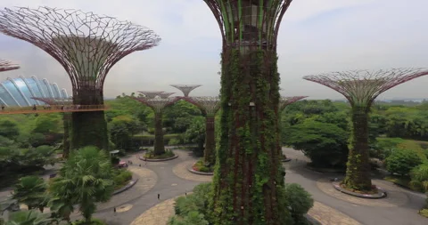 Left to right panning motion of The Gardens by the Bay, Singapore Stock Footage 275626227