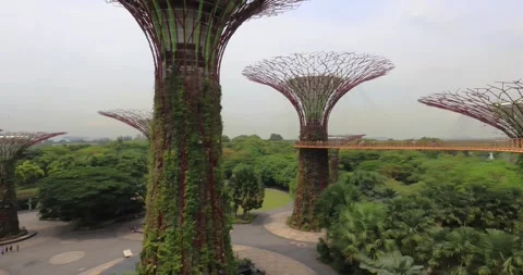 Left to right panning motion of The Gardens by the Bay, metal trees, Singapore Stock Footage 275629966