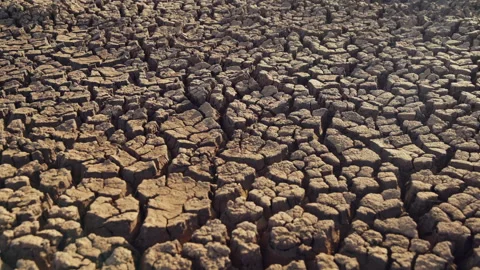 Left to right slider shot of dried mud in the savanna Stock Footage 278926860