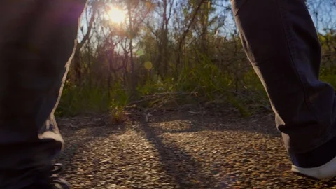 Left to right tracking shot of legs walking on bush track slow motion Stock Footage 119349585