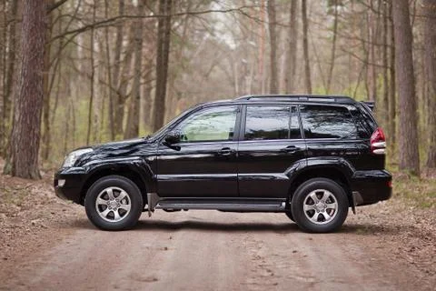 Left side of the black SUV in forest Stock Photos