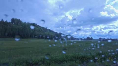Left side Driving plate The countryside outside of Molkom Video stock 247394239