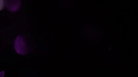 Left side, Purple, Black background, 库存影片 318944760